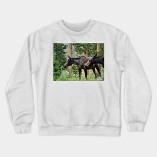 Moose on a Stroll in the Spring Crewneck Sweatshirt